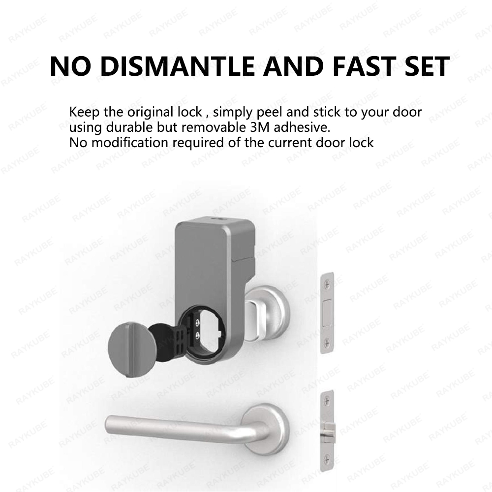 RAYKUBE A1 Pro Tuya BEL Set se - Fingerprint Access Control Door recensione e prezzo