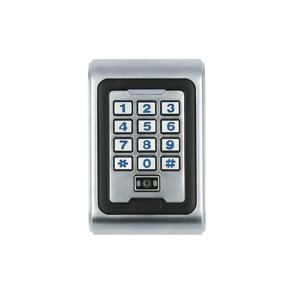 Tastierino Metallico Impermeab - Door Access Control Keypad Rfid recensione e prezzo