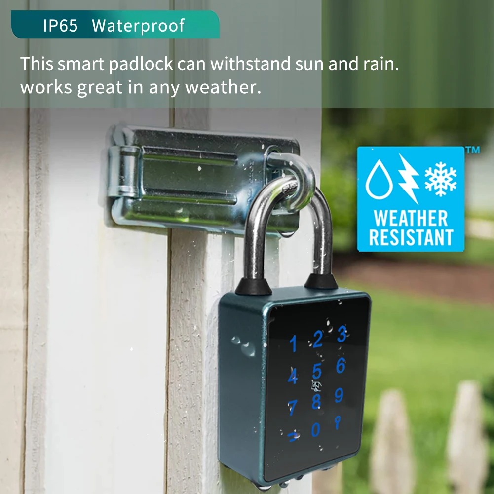 Tuya TTLOCK Lucchetto intellig - Fingerprint Access Control Door recensione e prezzo