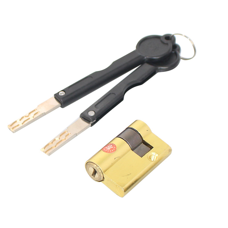 Cilindro in ottone per serratu - Fingerprint Access Control Door recensione e prezzo