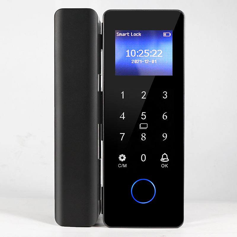 Serratura elettronica intellig - Fingerprint Access Control Door recensione e prezzo