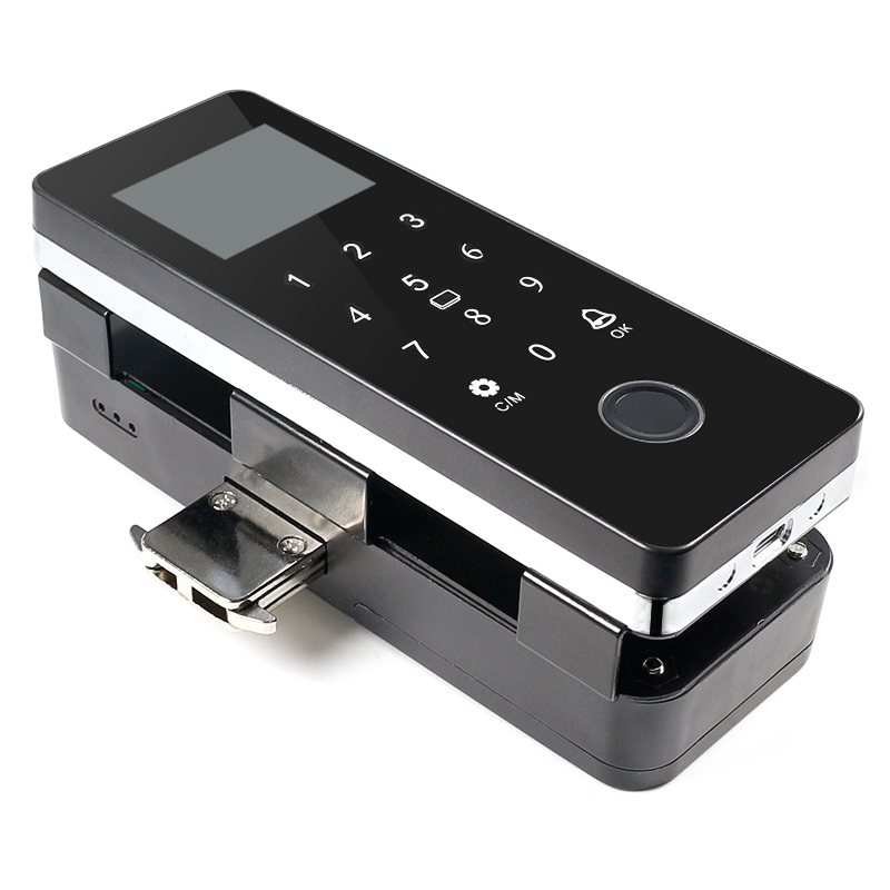 Serratura elettronica intellig - Fingerprint Access Control Door recensione e prezzo