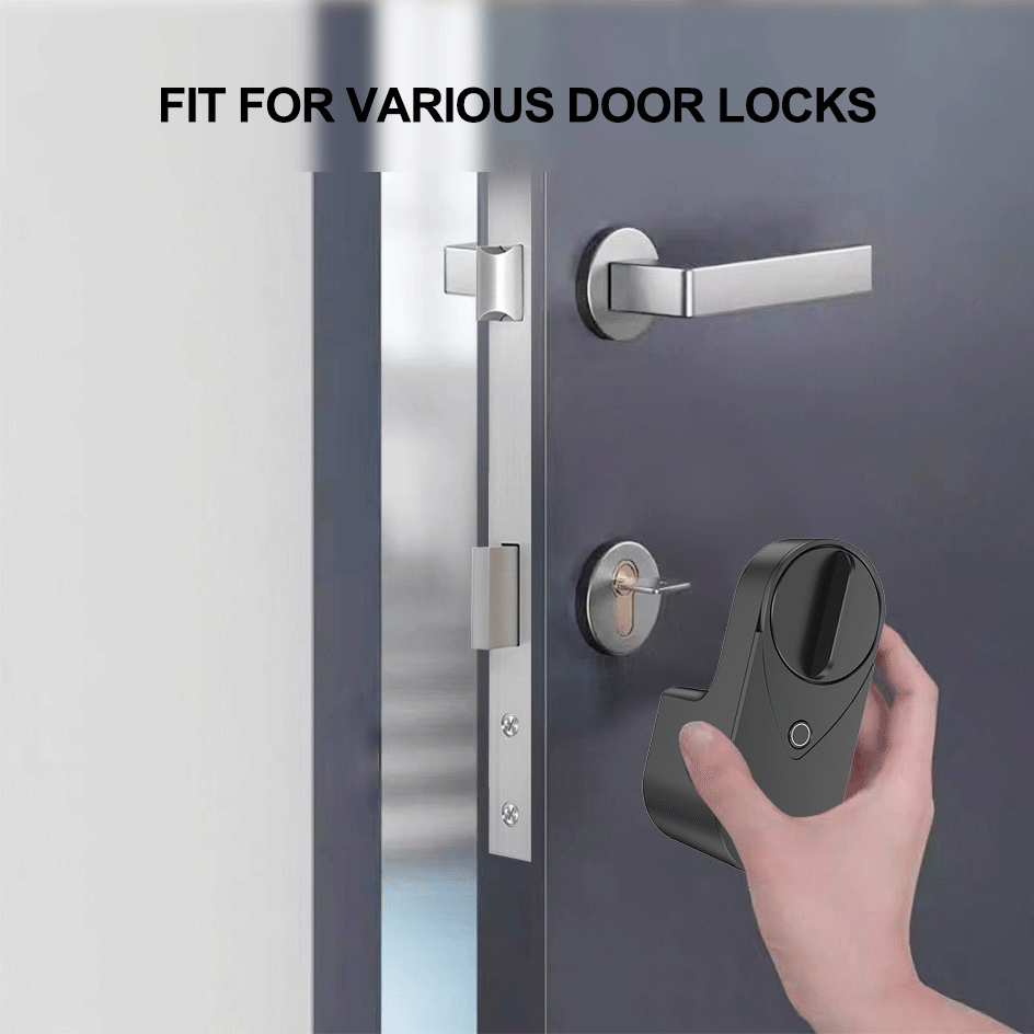 RAYKUBE EG One Tuya BLE Smart  - Fingerprint Access Control Door recensione e prezzo